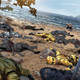Illustration for article titled Wolverine’s death highlights the danger of delays and value of restraint